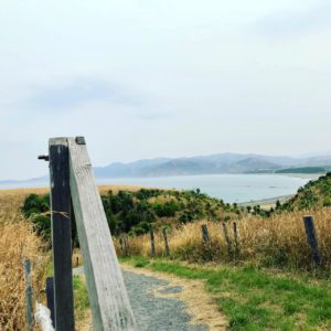 Grasslands and sea view in Kaikoura, New Zealand