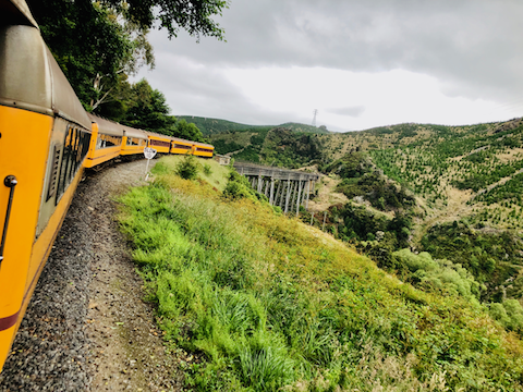 Train Travel in New Zealand